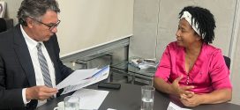 Em Brasília, deputada Sílvia Cristina leva demandas de Rondônia em reuniões em ministérios