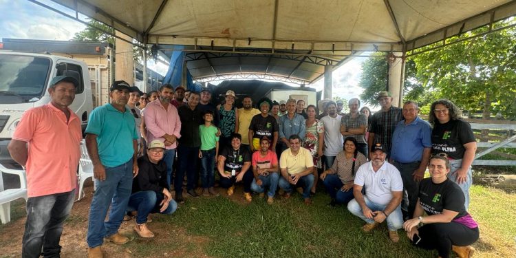 Curso gratuito reúne criadores de cordeiro em Espigão do Oeste