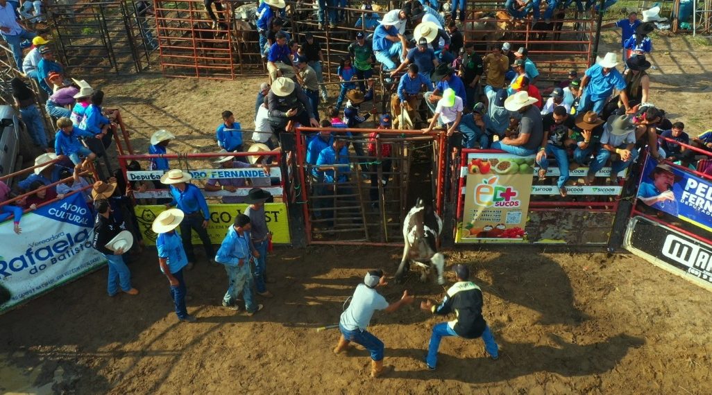 Deputado Pedro Fernandes celebra aprovação de projeto que impulsiona cultura rural
