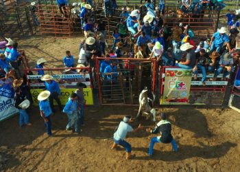 Deputado Pedro Fernandes celebra aprovação de projeto que impulsiona cultura rural