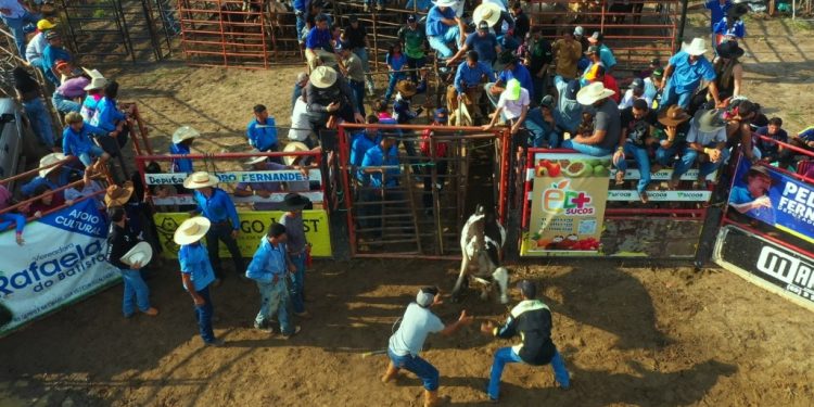 Deputado Pedro Fernandes celebra aprovação de projeto que impulsiona cultura rural