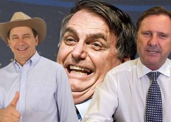 Inelegíveis, mas influentes: Bolsonaro, Cassol e Gurgacz moldam a política enquanto aguardam reviravoltas jurídicas