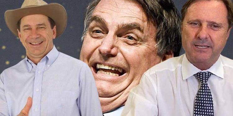 Inelegíveis, mas influentes: Bolsonaro, Cassol e Gurgacz moldam a política enquanto aguardam reviravoltas jurídicas