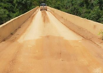 Deputado Pedro Fernandes solicita recuperação da RO-144, sentido Joelândia, e instalação de alambrado na ponte sobre o Rio Canaã