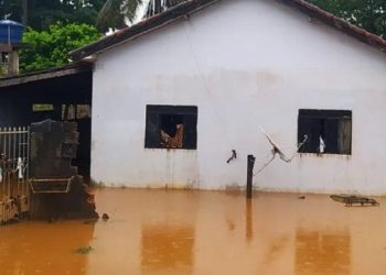 Presidente Alex Redano, solicita distribuição de cestas básicas para famílias atingidas por enchentes em Ouro Preto D’Oeste