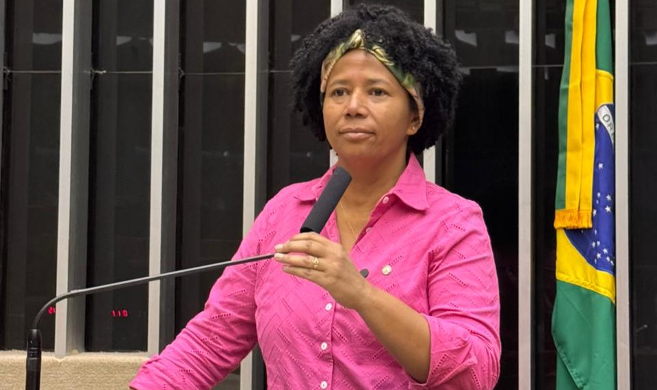 Sílvia Cristina alerta para injustiça com professores do ex-território e pede ação do Ministério da Gestão e do TCU