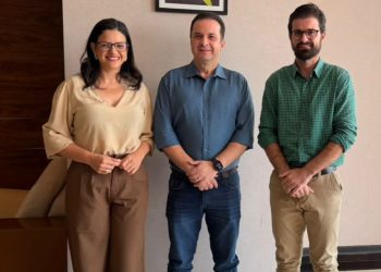 Rascunho automático