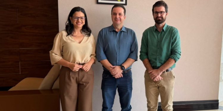 Rascunho automático