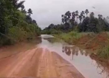 Deputado Alex Redano solicita recuperação urgente de estrada em Alto Paraíso