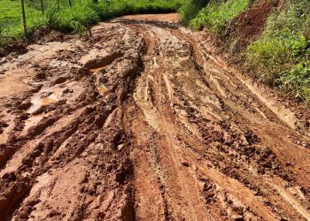 Recuperação da estrada de acesso ao Lago do Cuniã, em Porto Velho, é solicitada com urgência por Alex Redano