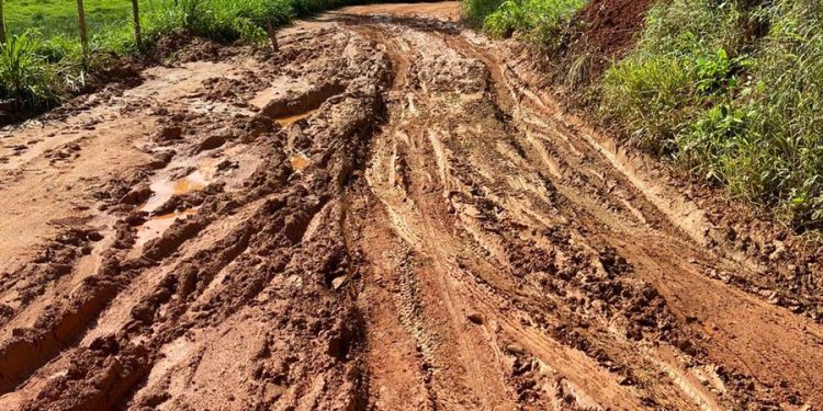 Recuperação da estrada de acesso ao Lago do Cuniã, em Porto Velho, é solicitada com urgência por Alex Redano