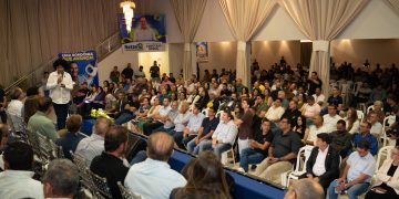 Rascunho automático