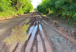 Alex Redano solicita recuperação da Linha B-106, em Cujubim