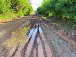 Alex Redano solicita recuperação da Linha B-106, em Cujubim